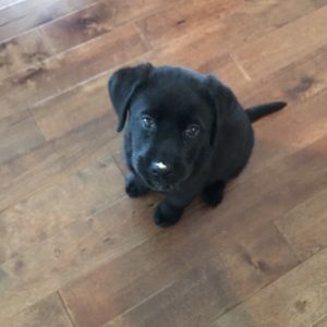 Meet your Posher, Jackie